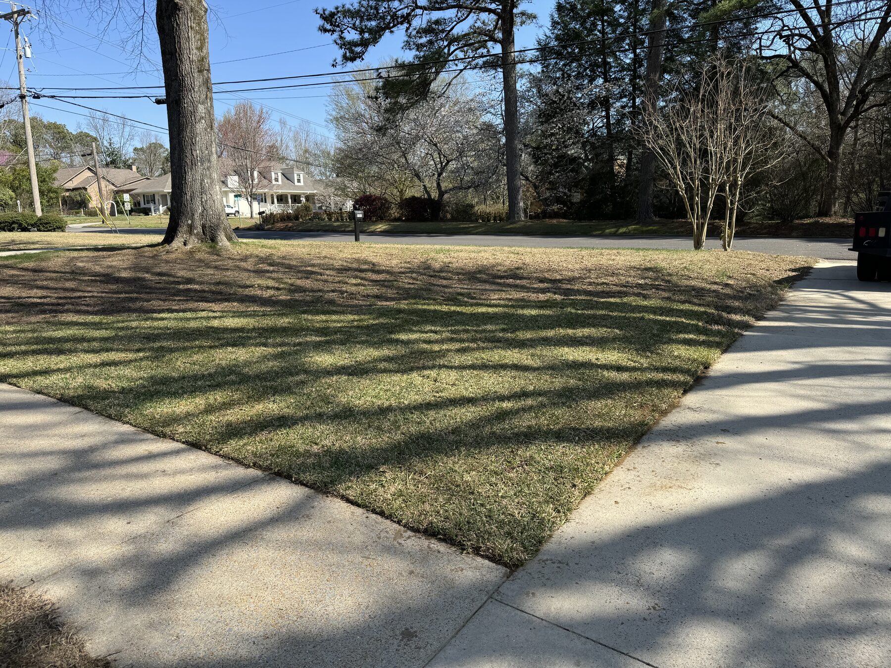 Sod installation before